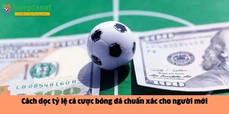 Cách đọc tỷ lệ cá cược bóng đá