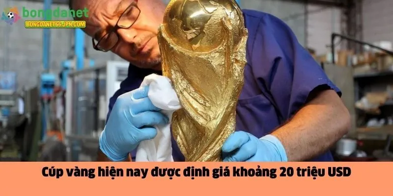 Cúp vàng