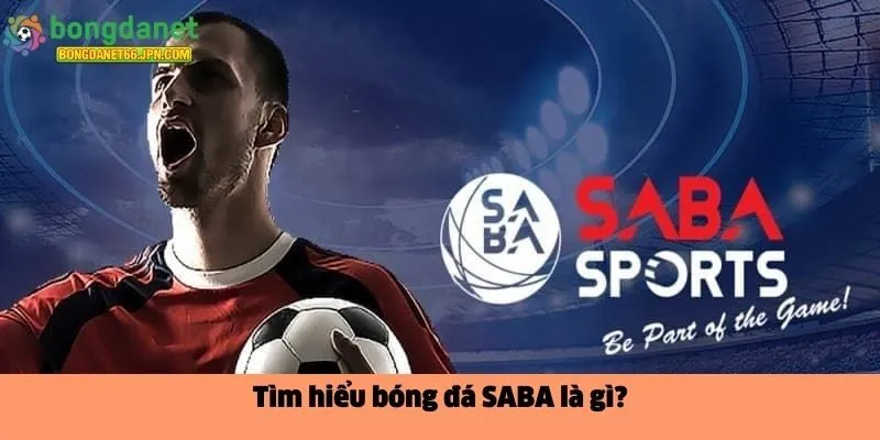 Tìm hiểu bóng đá SABA là gì?